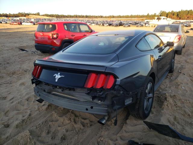 Photo 3 VIN: 1FA6P8AM2G5210124 - FORD MUSTANG 