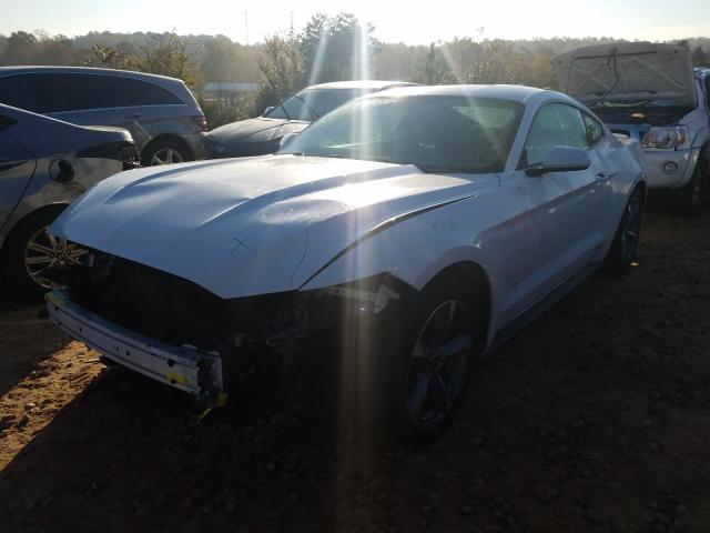 Photo 1 VIN: 1FA6P8AM2G5214979 - FORD MUSTANG 