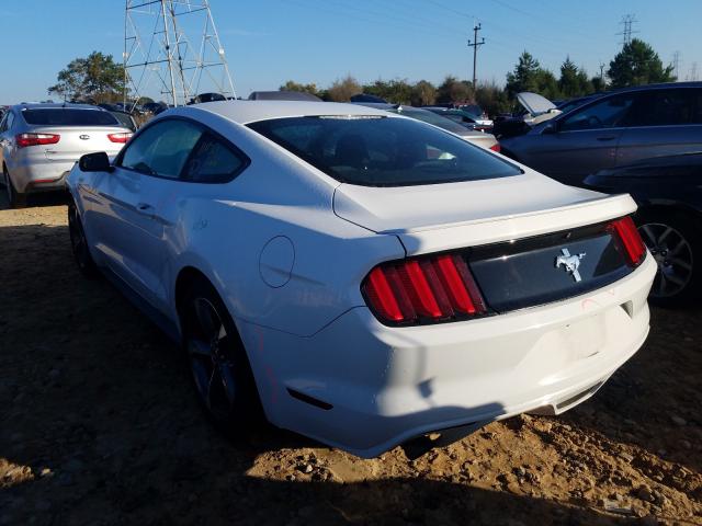 Photo 2 VIN: 1FA6P8AM2G5214979 - FORD MUSTANG 