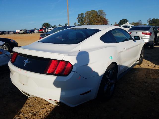 Photo 3 VIN: 1FA6P8AM2G5214979 - FORD MUSTANG 