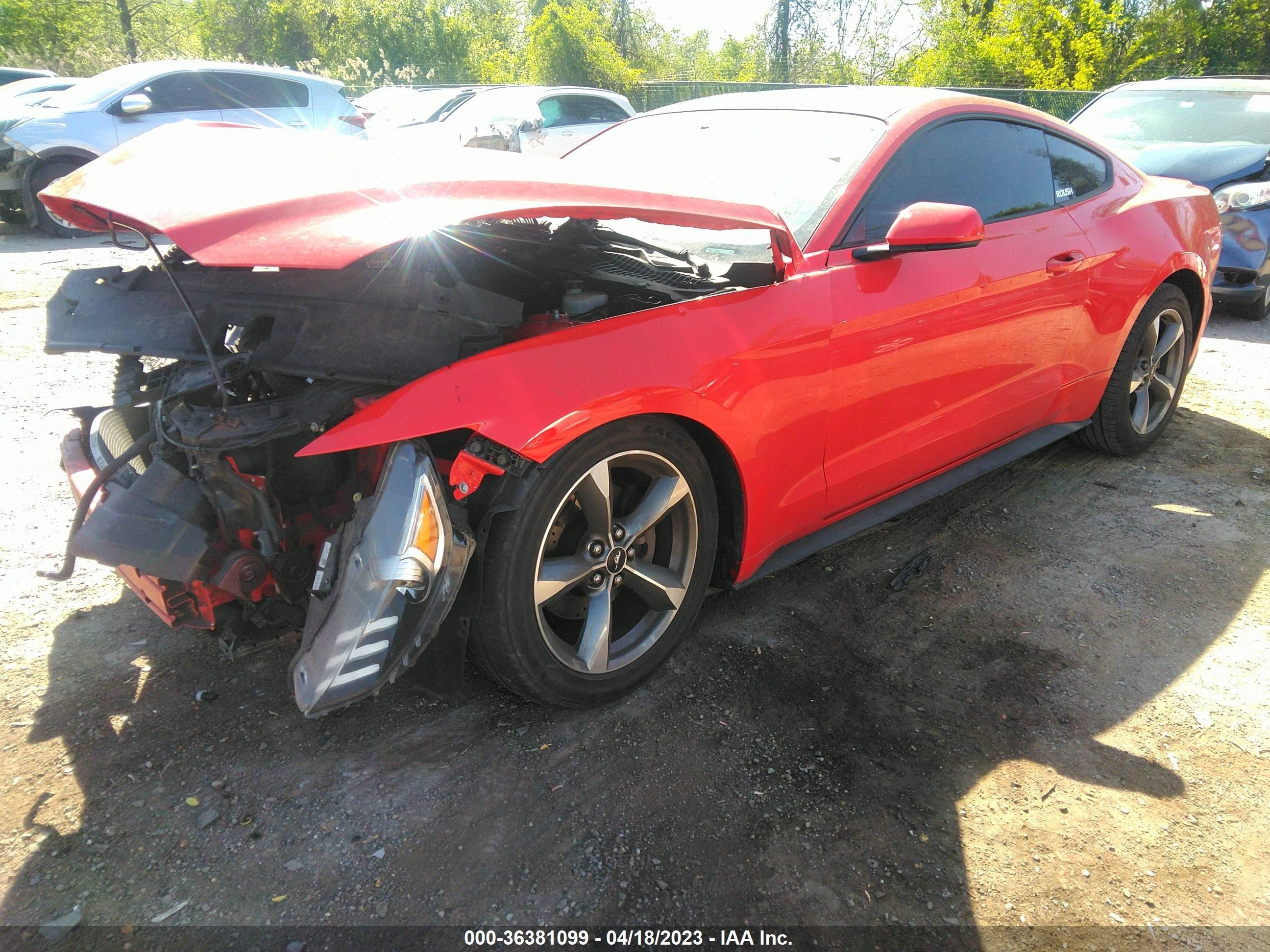 Photo 1 VIN: 1FA6P8AM2G5215209 - FORD MUSTANG 