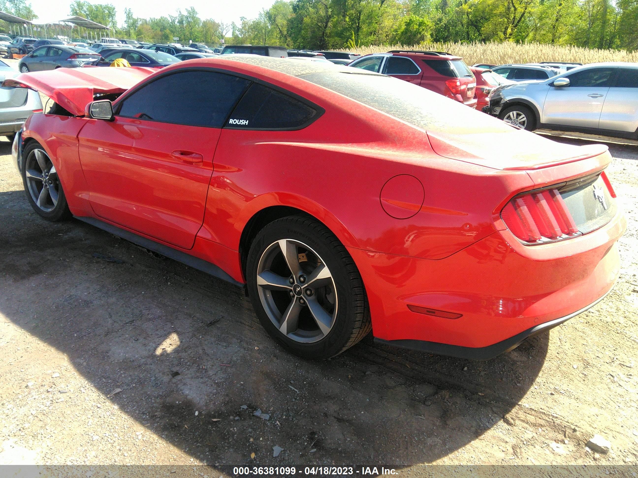 Photo 2 VIN: 1FA6P8AM2G5215209 - FORD MUSTANG 