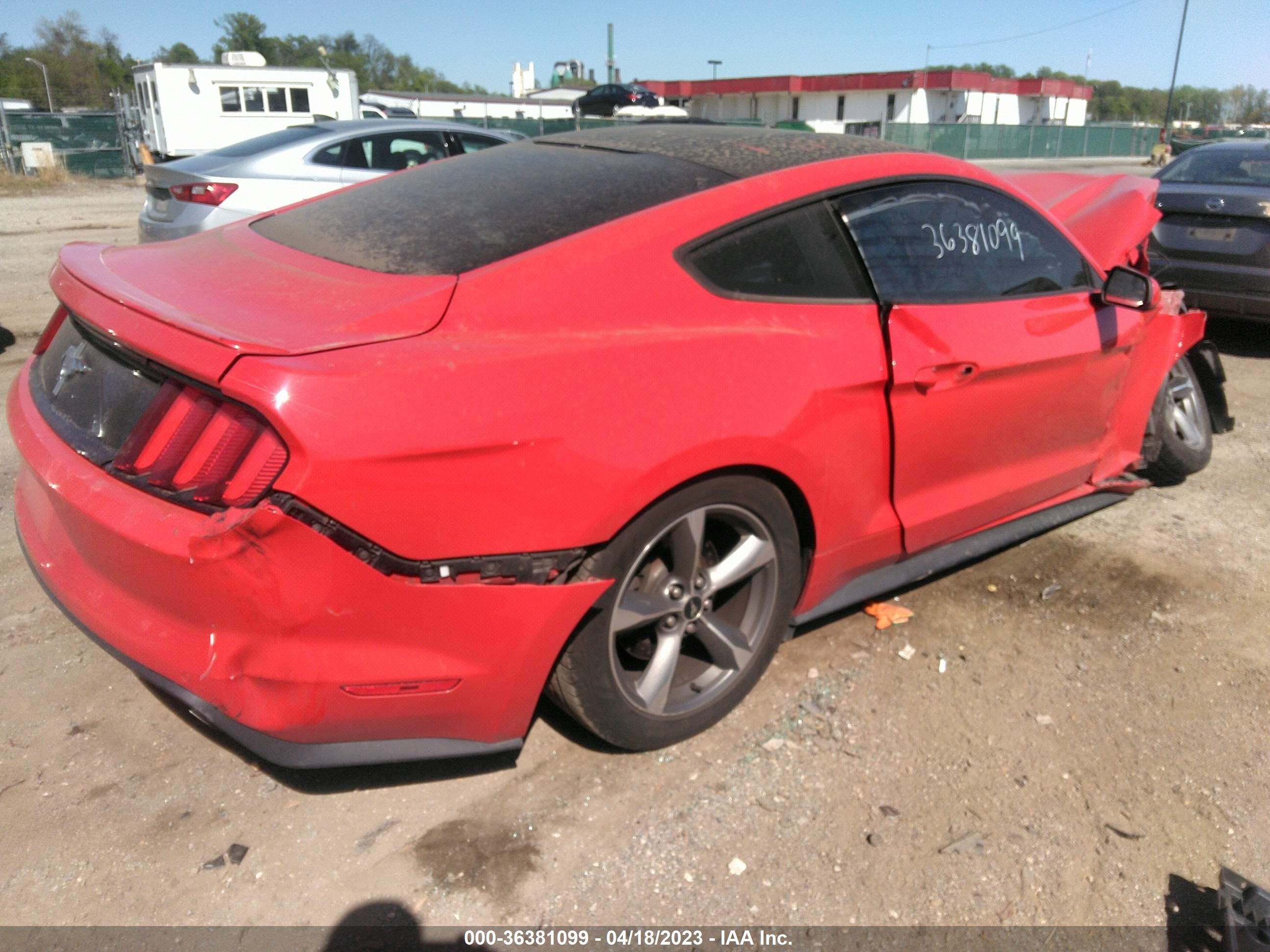 Photo 3 VIN: 1FA6P8AM2G5215209 - FORD MUSTANG 