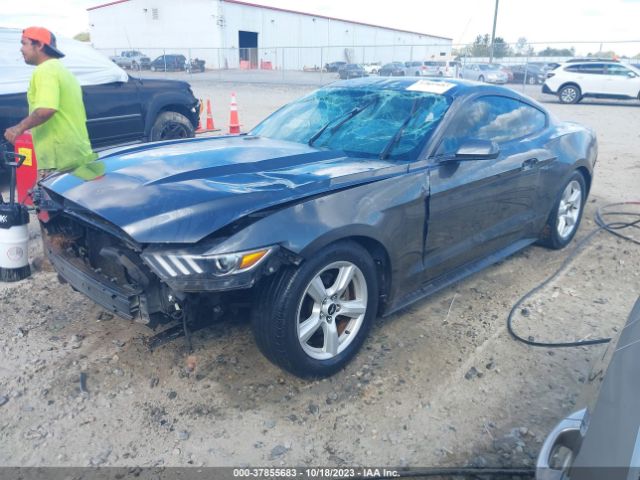 Photo 1 VIN: 1FA6P8AM2G5215422 - FORD MUSTANG 