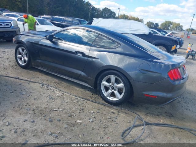 Photo 2 VIN: 1FA6P8AM2G5215422 - FORD MUSTANG 