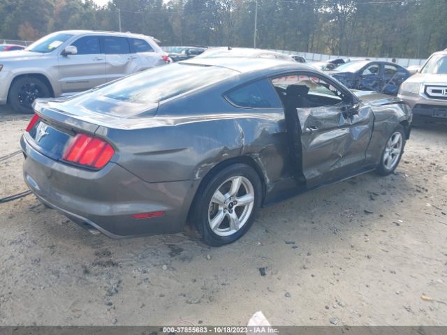 Photo 3 VIN: 1FA6P8AM2G5215422 - FORD MUSTANG 