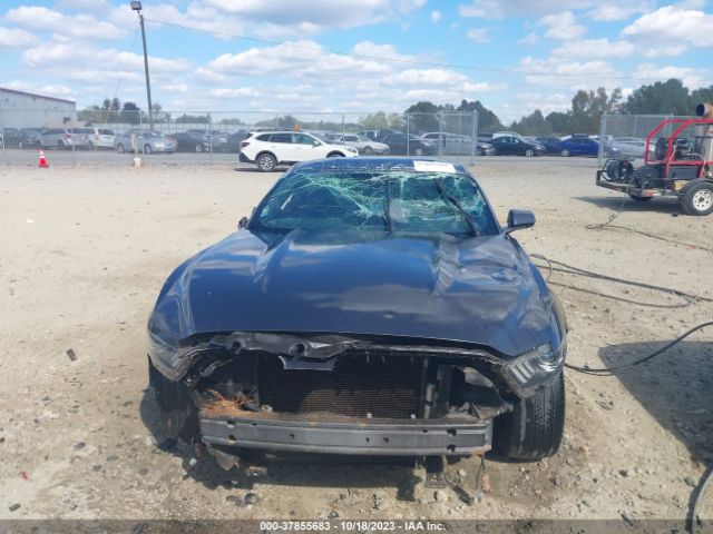 Photo 5 VIN: 1FA6P8AM2G5215422 - FORD MUSTANG 