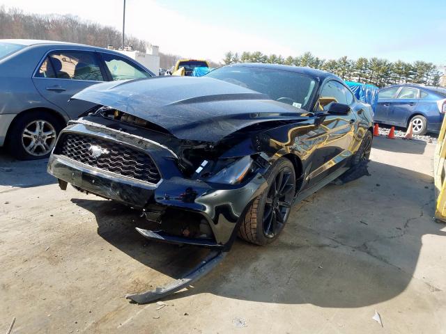 Photo 1 VIN: 1FA6P8AM2G5227814 - FORD MUSTANG 