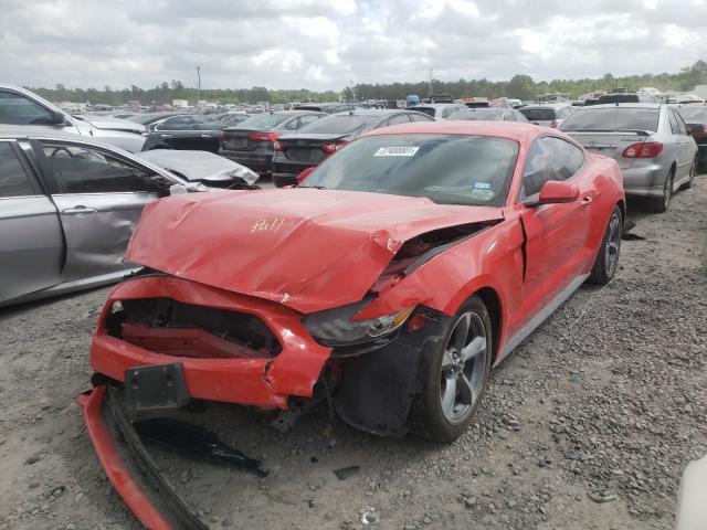 Photo 1 VIN: 1FA6P8AM2G5252566 - FORD MUSTANG 