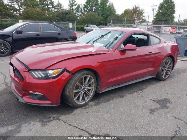 Photo 1 VIN: 1FA6P8AM2G5264197 - FORD MUSTANG 