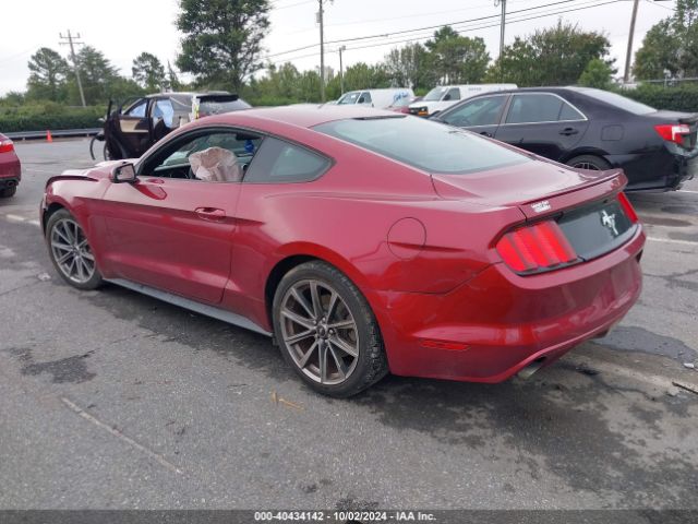 Photo 2 VIN: 1FA6P8AM2G5264197 - FORD MUSTANG 