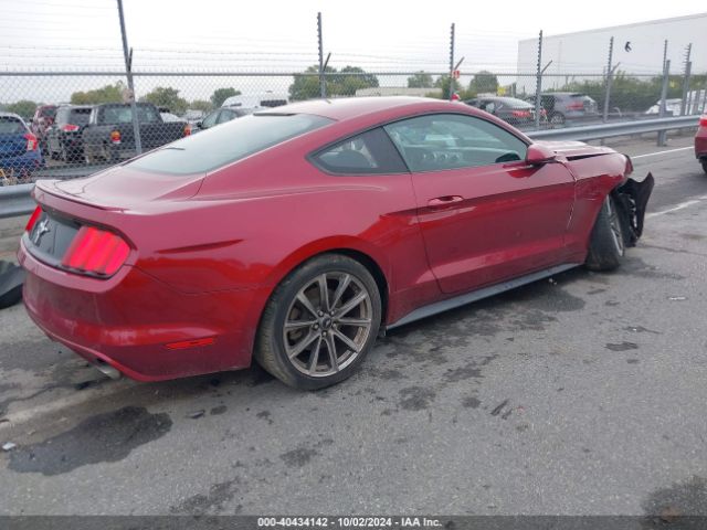 Photo 3 VIN: 1FA6P8AM2G5264197 - FORD MUSTANG 