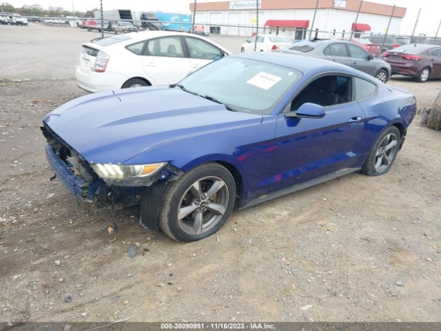 Photo 1 VIN: 1FA6P8AM2G5266595 - FORD MUSTANG 