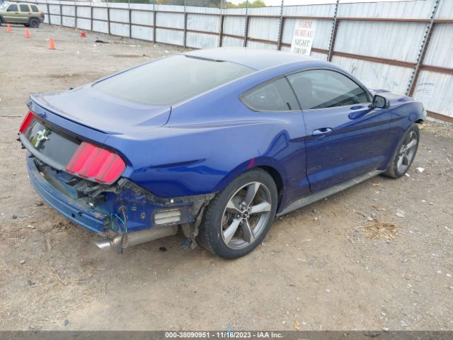 Photo 3 VIN: 1FA6P8AM2G5266595 - FORD MUSTANG 