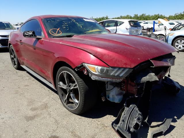 Photo 0 VIN: 1FA6P8AM2G5303046 - FORD MUSTANG 