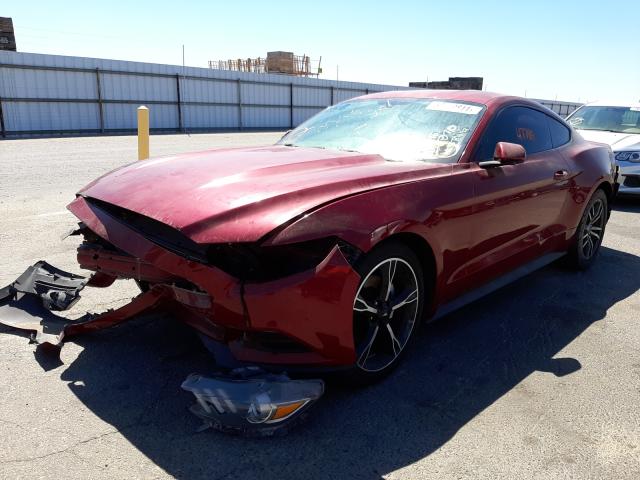 Photo 1 VIN: 1FA6P8AM2G5303046 - FORD MUSTANG 