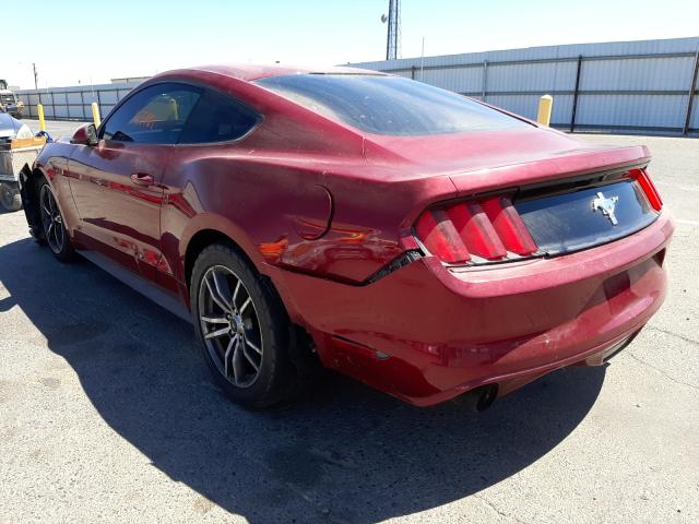 Photo 2 VIN: 1FA6P8AM2G5303046 - FORD MUSTANG 