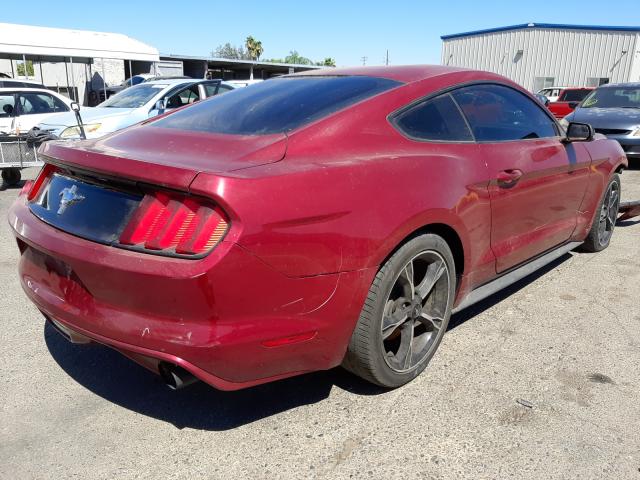 Photo 3 VIN: 1FA6P8AM2G5303046 - FORD MUSTANG 