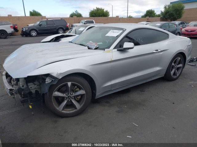 Photo 1 VIN: 1FA6P8AM2G5304813 - FORD MUSTANG 