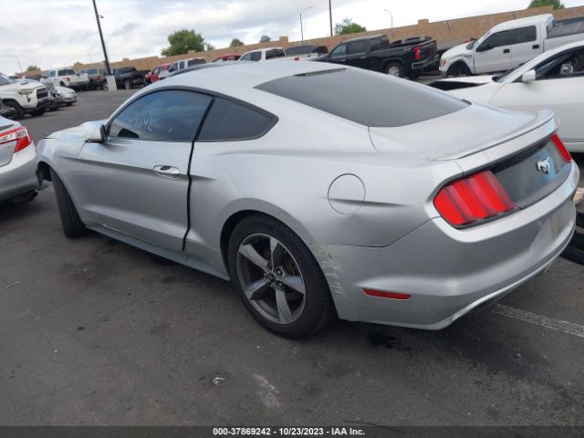 Photo 2 VIN: 1FA6P8AM2G5304813 - FORD MUSTANG 