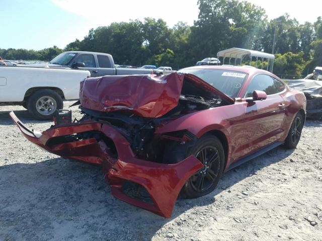 Photo 1 VIN: 1FA6P8AM2G5309008 - FORD MUSTANG 