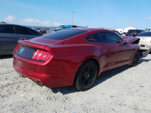 Photo 3 VIN: 1FA6P8AM2G5309008 - FORD MUSTANG 