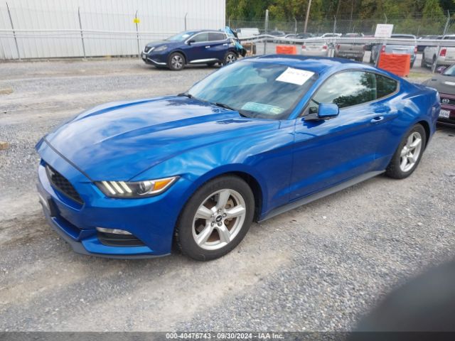 Photo 1 VIN: 1FA6P8AM2H5202591 - FORD MUSTANG 