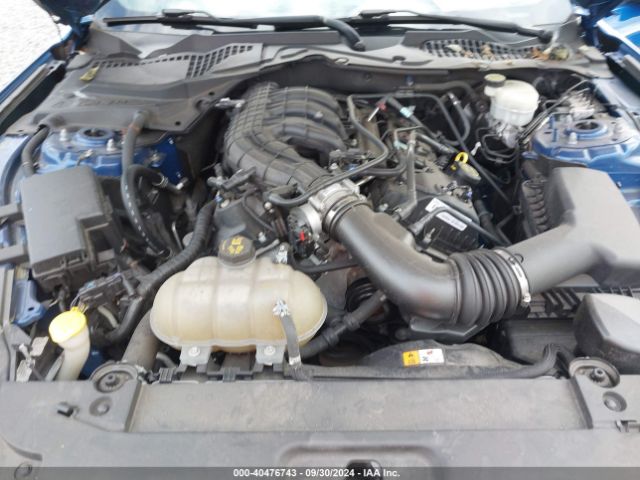 Photo 9 VIN: 1FA6P8AM2H5202591 - FORD MUSTANG 