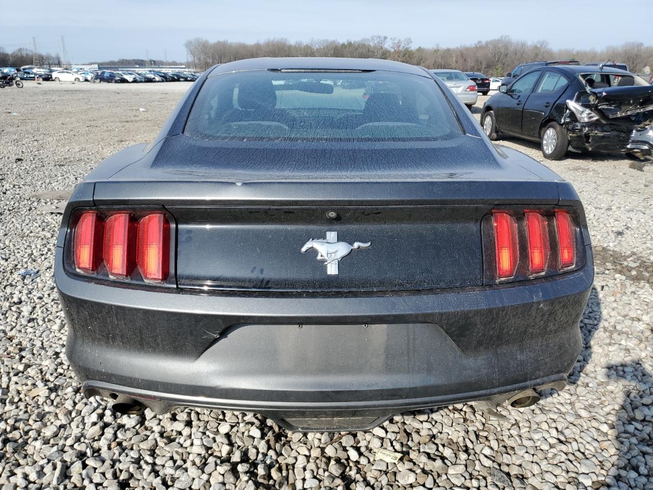 Photo 5 VIN: 1FA6P8AM2H5217253 - FORD MUSTANG 