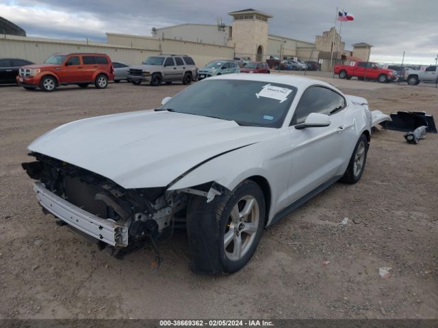 Photo 1 VIN: 1FA6P8AM2H5265349 - FORD MUSTANG 