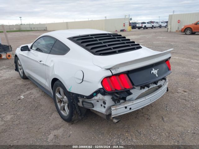 Photo 2 VIN: 1FA6P8AM2H5265349 - FORD MUSTANG 