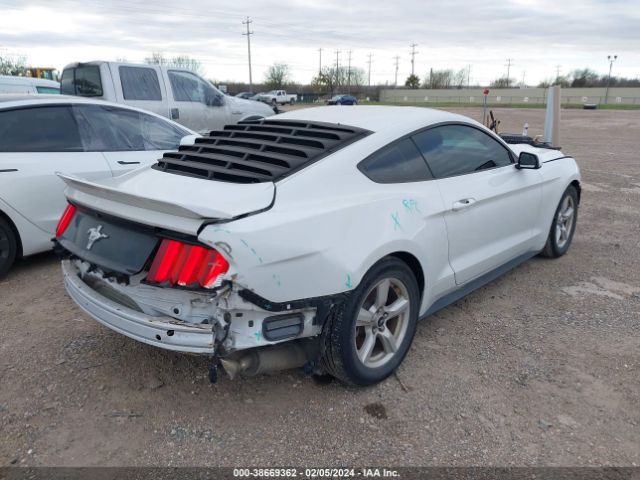 Photo 3 VIN: 1FA6P8AM2H5265349 - FORD MUSTANG 