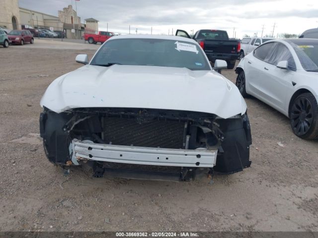 Photo 5 VIN: 1FA6P8AM2H5265349 - FORD MUSTANG 