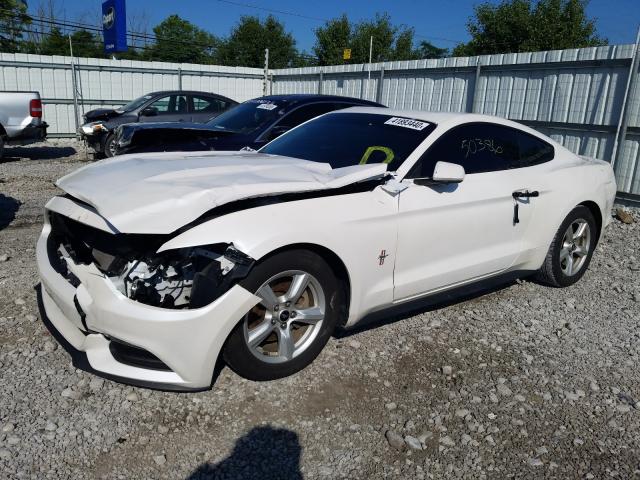 Photo 1 VIN: 1FA6P8AM2H5343743 - FORD MUSTANG 