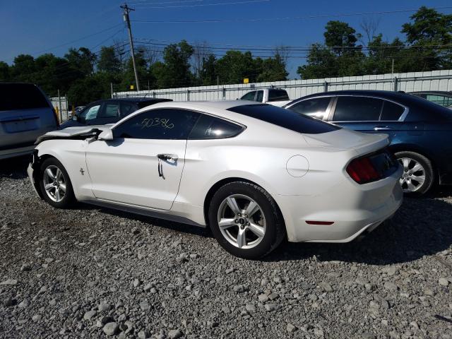 Photo 2 VIN: 1FA6P8AM2H5343743 - FORD MUSTANG 