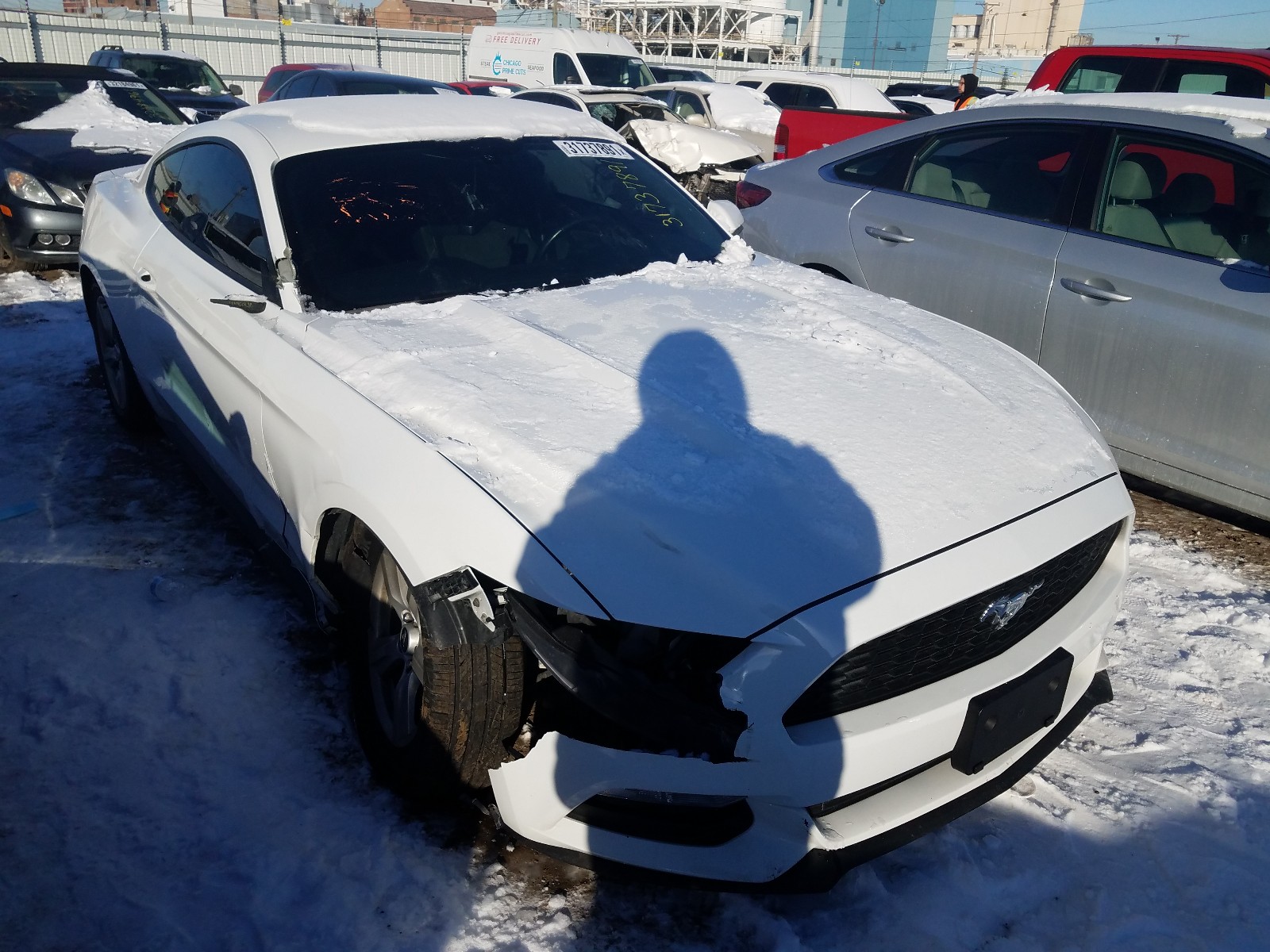 Photo 0 VIN: 1FA6P8AM2H5344259 - FORD MUSTANG 