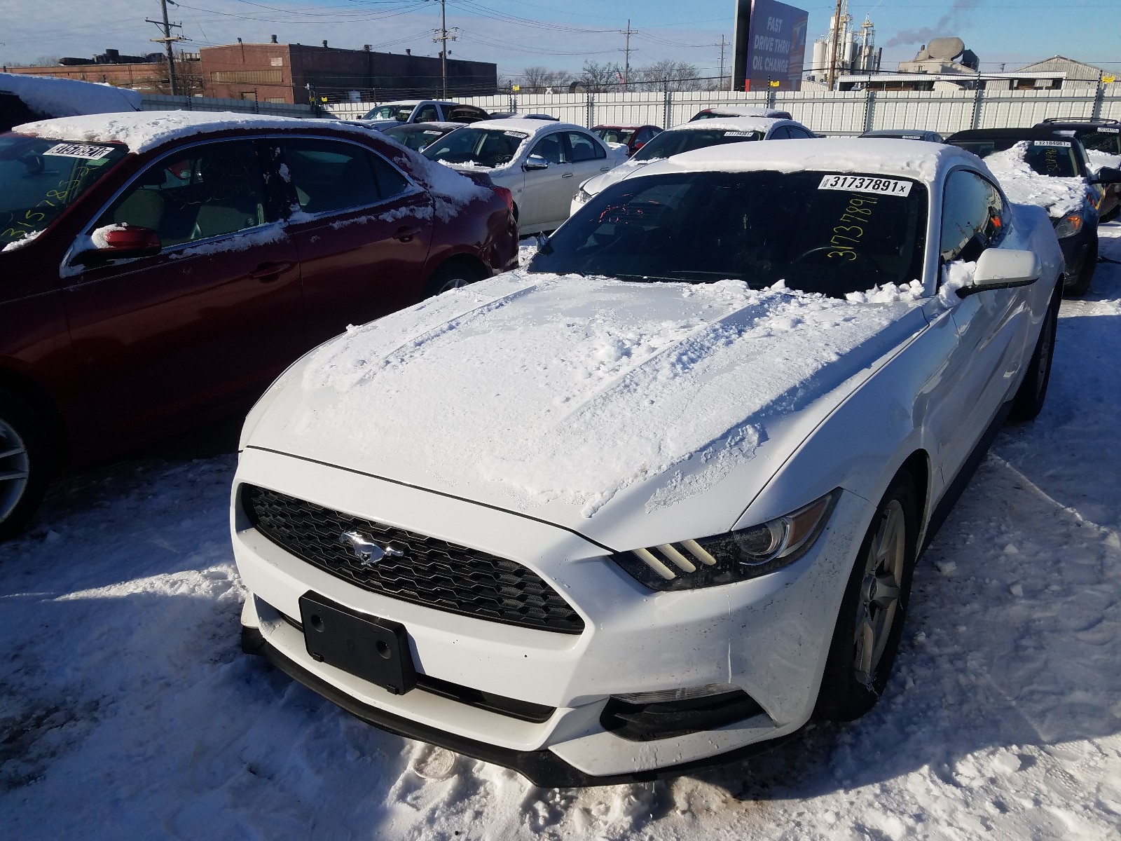 Photo 1 VIN: 1FA6P8AM2H5344259 - FORD MUSTANG 