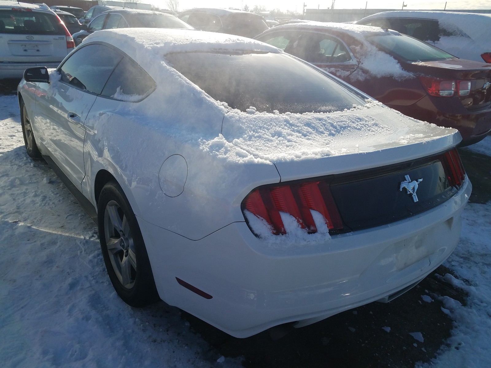 Photo 2 VIN: 1FA6P8AM2H5344259 - FORD MUSTANG 