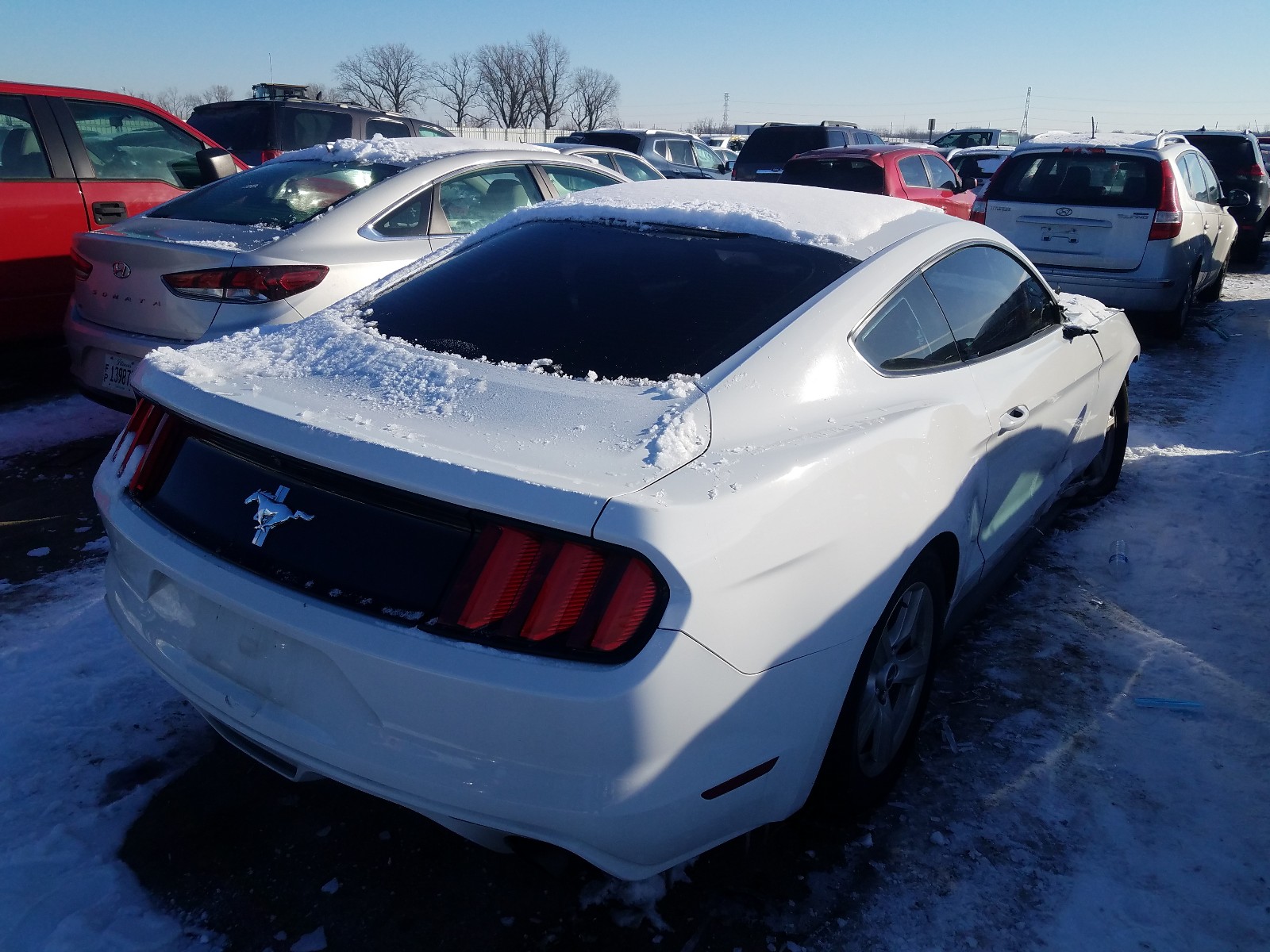 Photo 3 VIN: 1FA6P8AM2H5344259 - FORD MUSTANG 