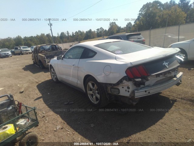 Photo 2 VIN: 1FA6P8AM2H5356864 - FORD MUSTANG 