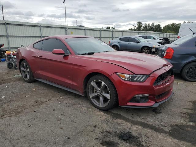 Photo 3 VIN: 1FA6P8AM3F5304561 - FORD MUSTANG 