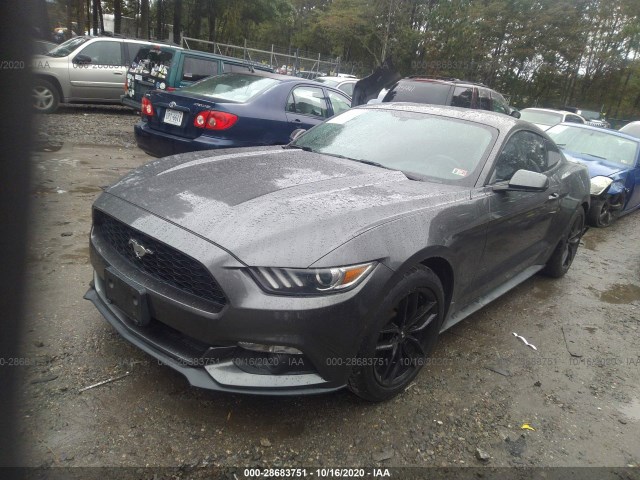 Photo 1 VIN: 1FA6P8AM3F5320971 - FORD MUSTANG 