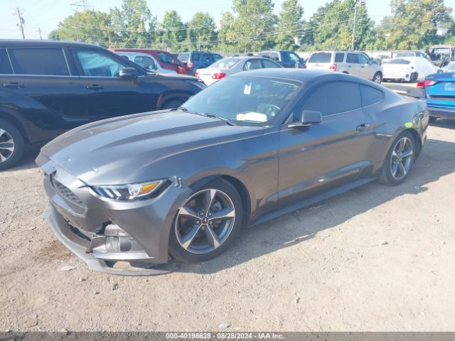 Photo 1 VIN: 1FA6P8AM3F5325412 - FORD MUSTANG 