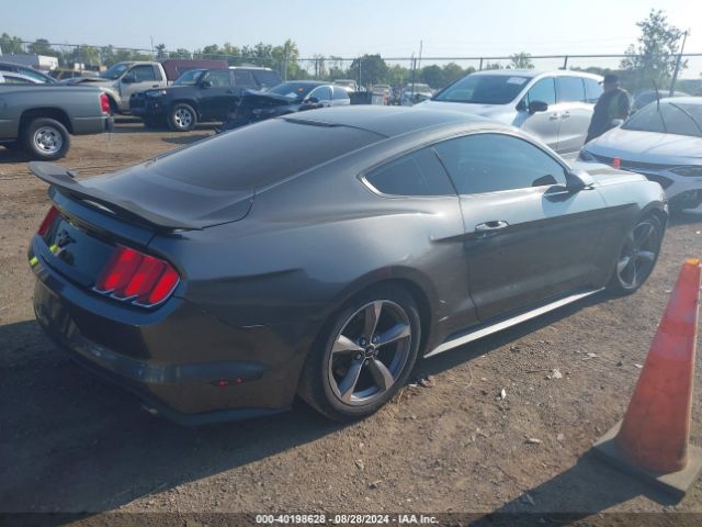 Photo 3 VIN: 1FA6P8AM3F5325412 - FORD MUSTANG 