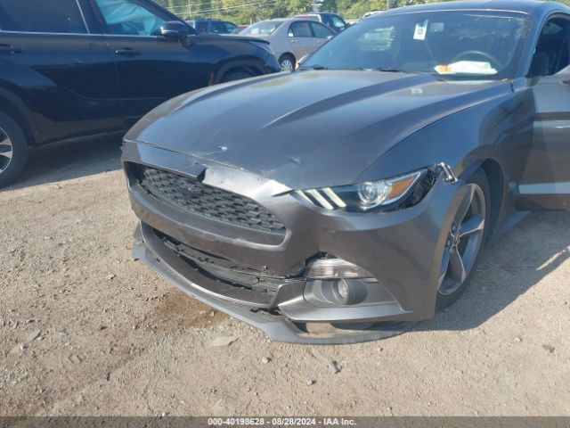 Photo 5 VIN: 1FA6P8AM3F5325412 - FORD MUSTANG 