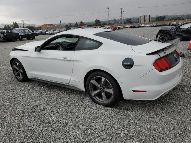 Photo 1 VIN: 1FA6P8AM3F5328620 - FORD MUSTANG 