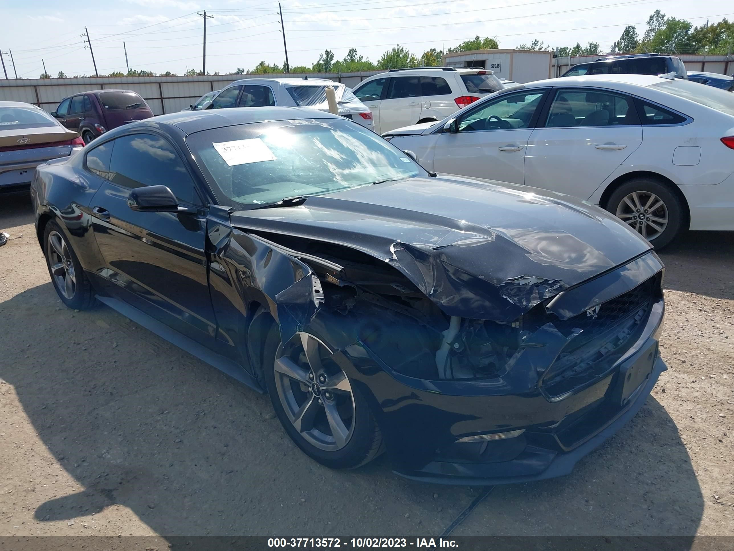 Photo 0 VIN: 1FA6P8AM3F5337558 - FORD MUSTANG 