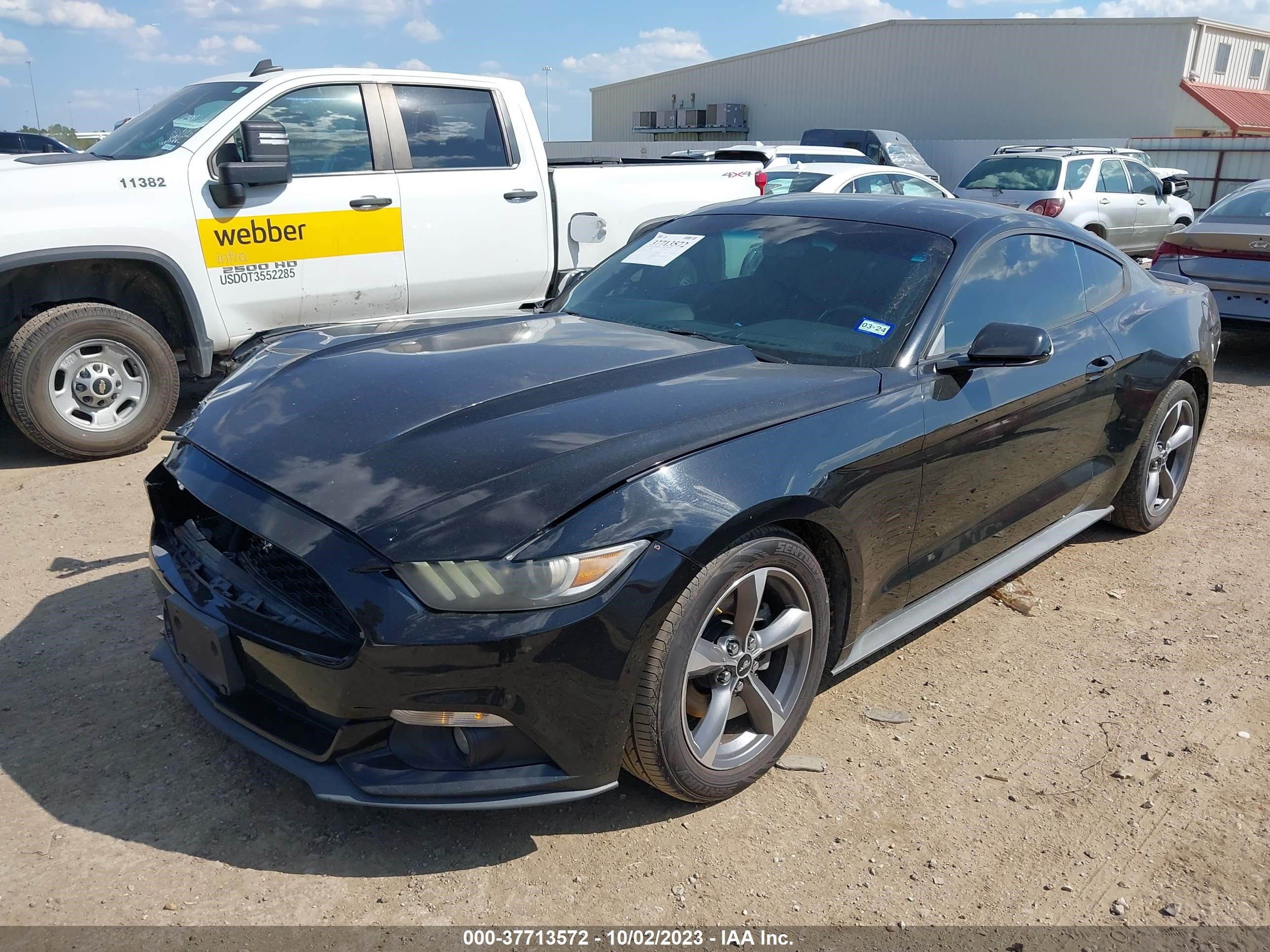 Photo 1 VIN: 1FA6P8AM3F5337558 - FORD MUSTANG 