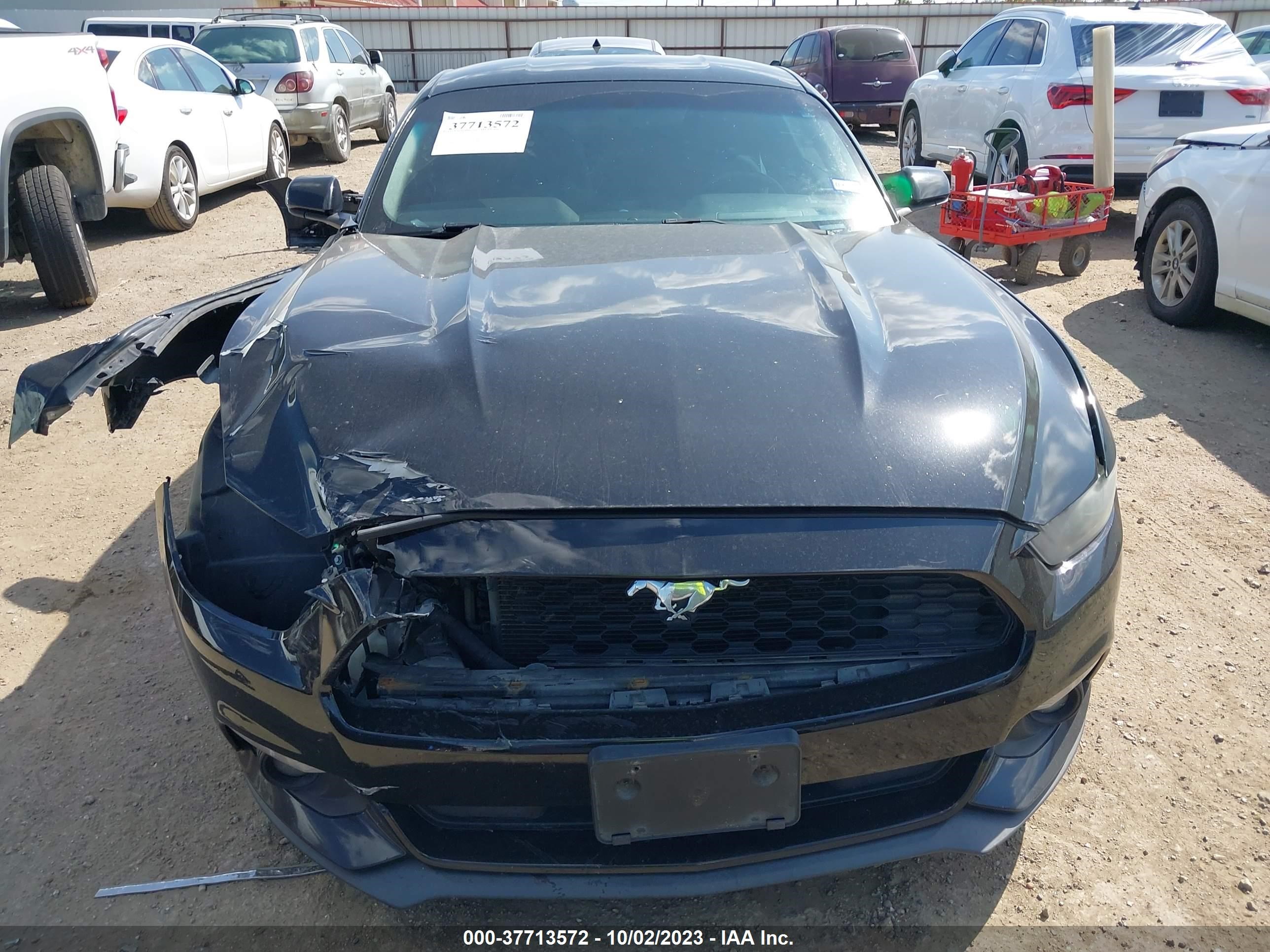 Photo 11 VIN: 1FA6P8AM3F5337558 - FORD MUSTANG 