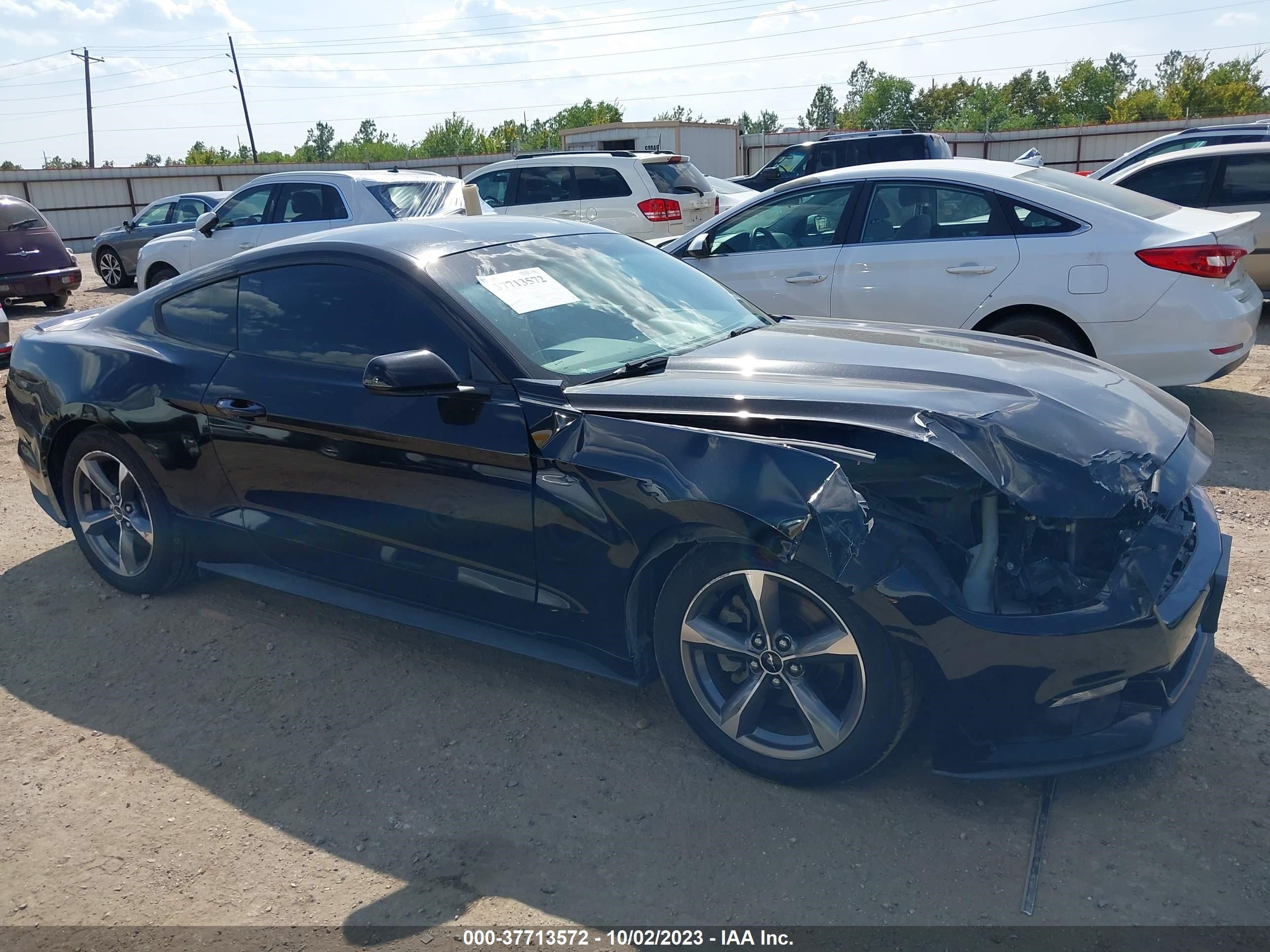 Photo 12 VIN: 1FA6P8AM3F5337558 - FORD MUSTANG 